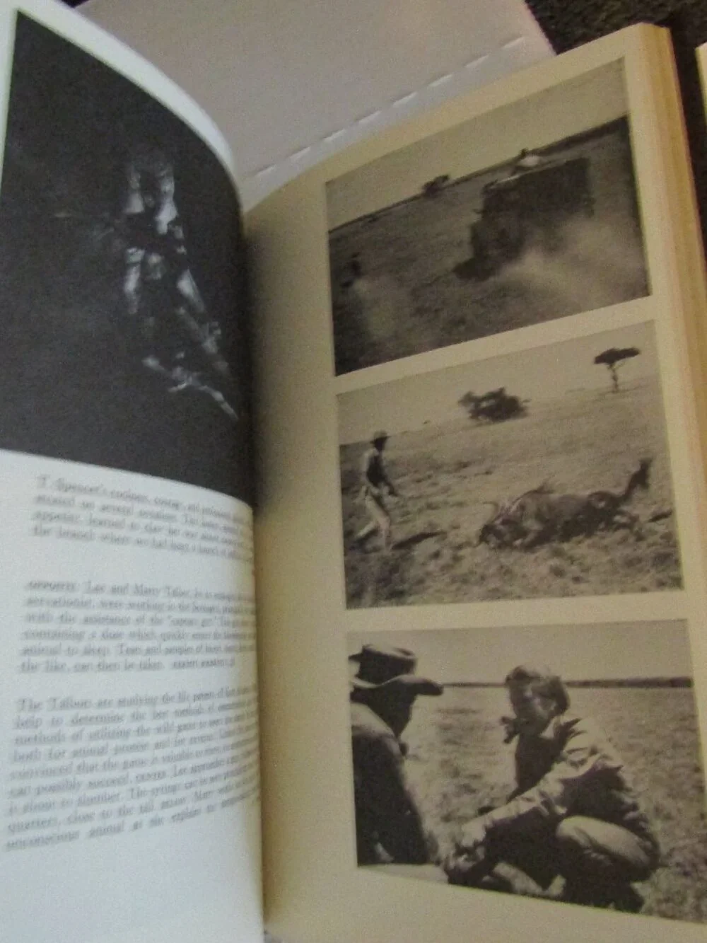 Theodore Roosevelt Hunting Book MINT A SENTIMENTAL SAFARI